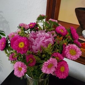 Meet your Posher, Maritza